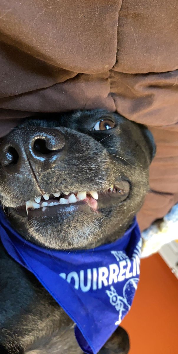 Just in case you needed to smile today