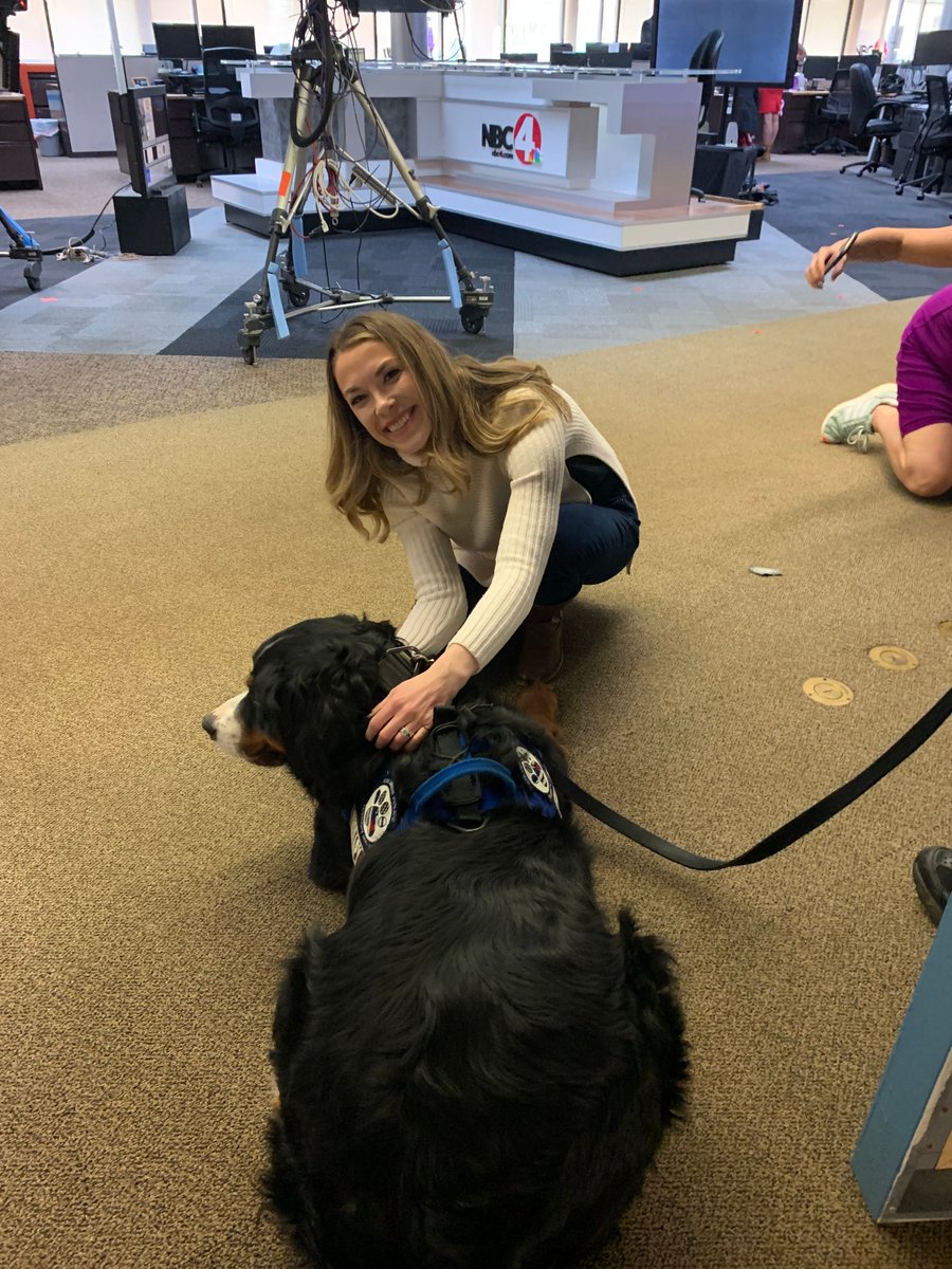 nbc4i's tweet image. #FurAlert!
Two therapy dogs from the 
@ColumbusPolice
  got lots of belly rubs and snuggles today. Smiling face with 3 heartsRed heartDog