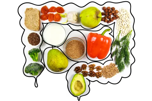 gaabinutri's tweet photo. Alimentación vegetariana / vegana y sistema inmune
Ya he hablado bastante de salud intestinal y lo seguiré haciendo, pero es importante preocuparse de nuestra alimentación en todos los aspectos... https://t.co/VfnHgXtp7Z