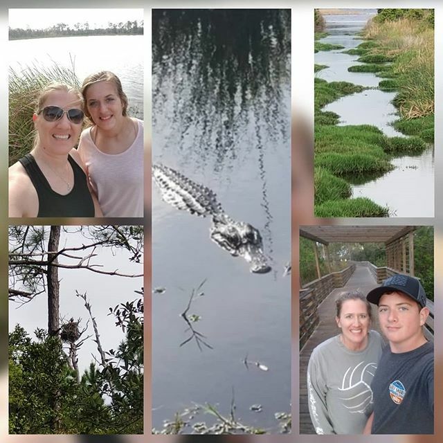 pinelevelrocks's tweet photo. Mrs. Cutler has been doing a lot of hiking with her kids and has seen some pretty cool animals along the way.
#plesourstory4
#leaderinmeschool
#greathappenshere
#everyonecanbealeader
@wsfa12news 
@myaea 
@alnewsnet https://t.co/jbLd9BU3JX https://t.co/omEZmaKtJb