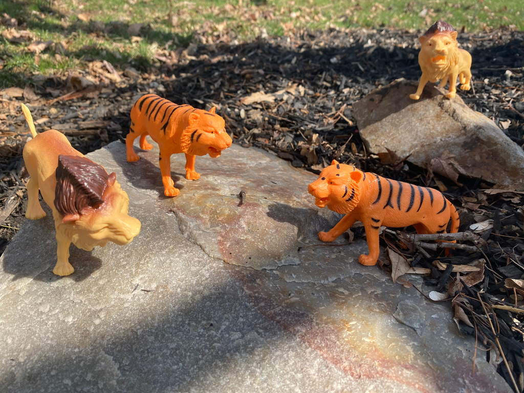 ElmwoodParkZoo's tweet photo. Since you can’t visit the zoo, create your own #FrontYardZoo at home! Use the hashtag and share your zoo with us!🐆

Help support Elmwood Park Zoo during its closure: https://t.co/AaNbzltRVf https://t.co/rTJitzBTVt