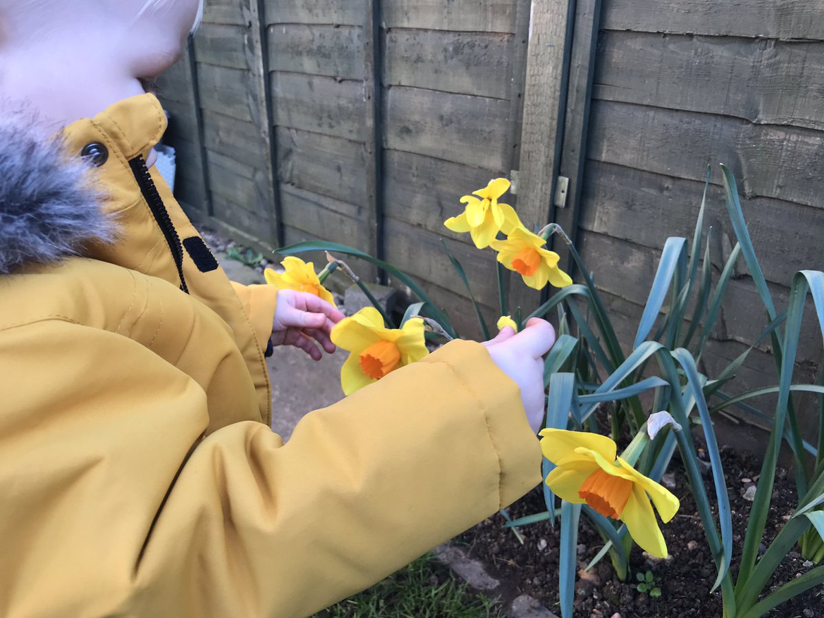 Self isolating with your toddler day 9: building a mud kitchen, learning about flowers, playing with a cardboard box and agility practice with the dog!