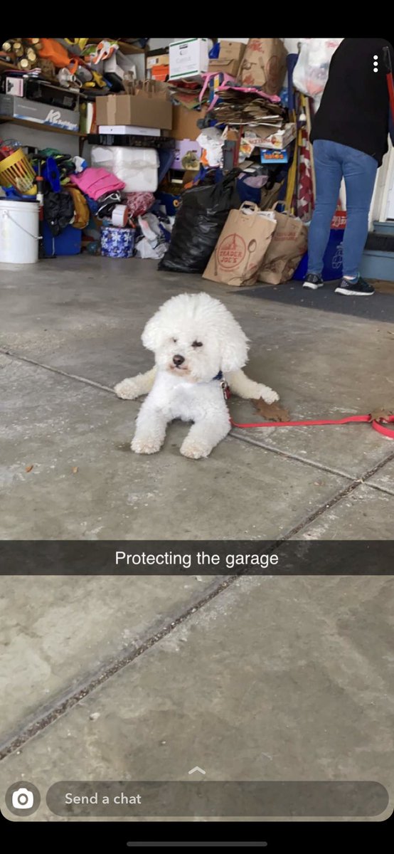 Ralph is busy protecting the garage so you can protect your family and friends! Keep social distancing and washing your hands!!