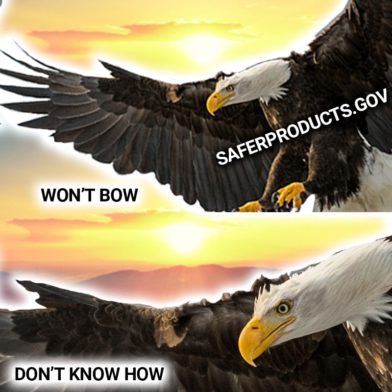 The bald eagle replies. "Won't bow. Don't know how."