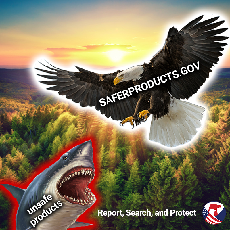 A bald eagle labeled SaferProducts.gov taking on a flying shark over a vast forest. The shark is labeled Unsafe Products.