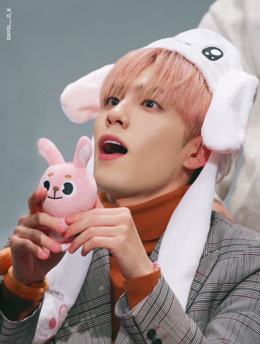 Im_aChair's tweet photo. Those bunnies felt so soft 🥺🥺 https://t.co/ynm6RMo3Y4