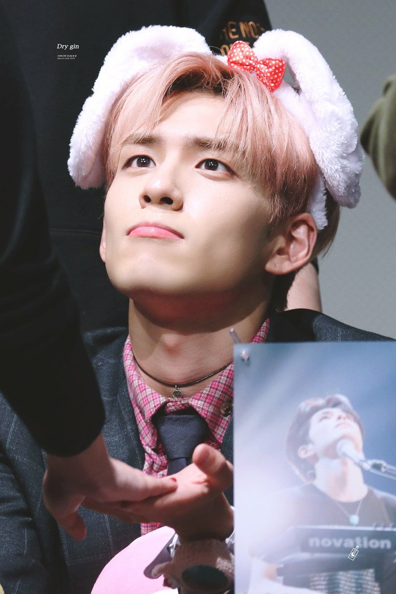 Im_aChair's tweet photo. Those bunnies felt so soft 🥺🥺 https://t.co/ynm6RMo3Y4
