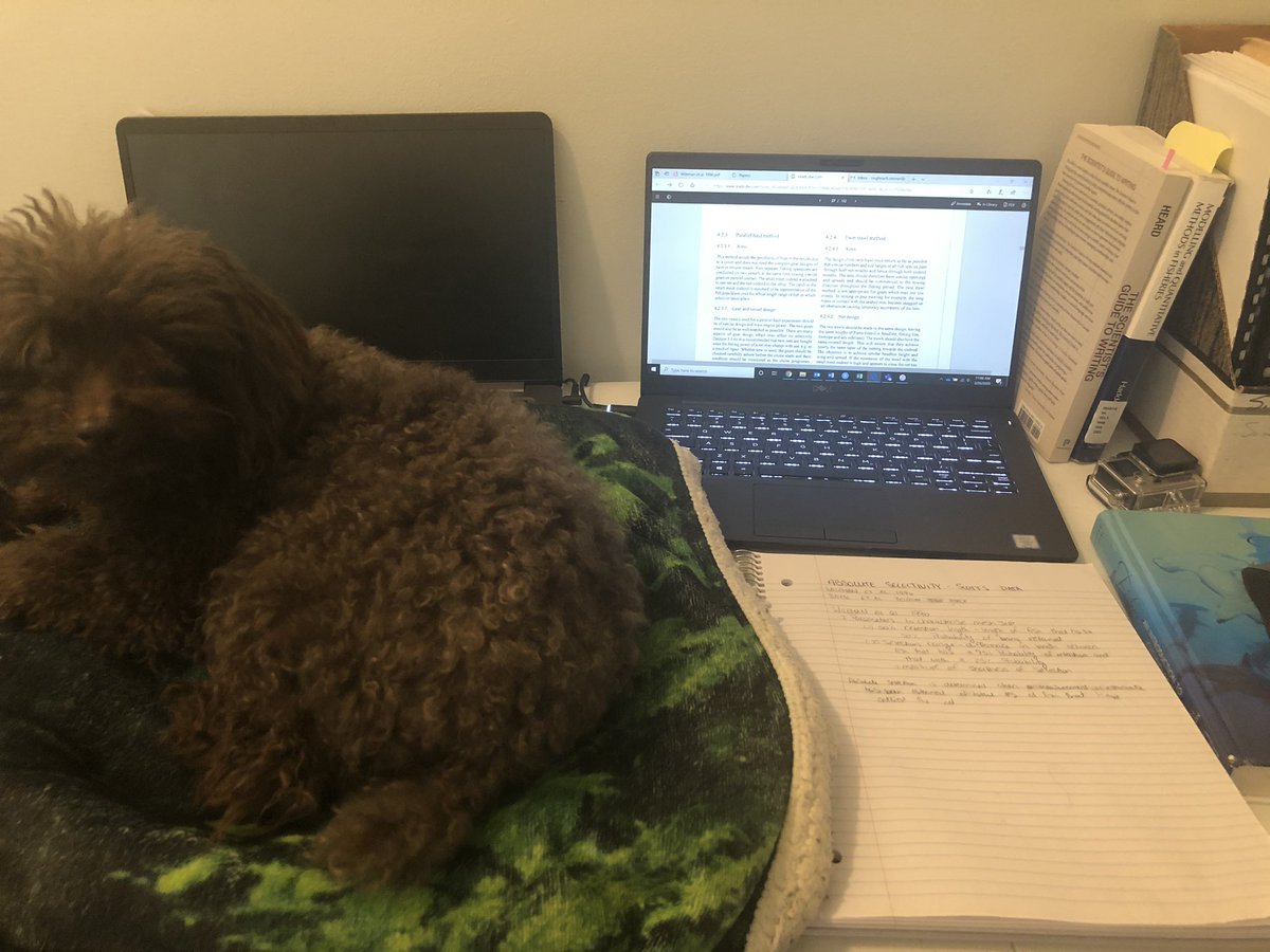 RioVonSteiner's tweet photo. Something here doesnβt quite belong #WorkingFromHomeProblems #COVID19 #StatsRFun https://t.co/UdJOCMudGz
