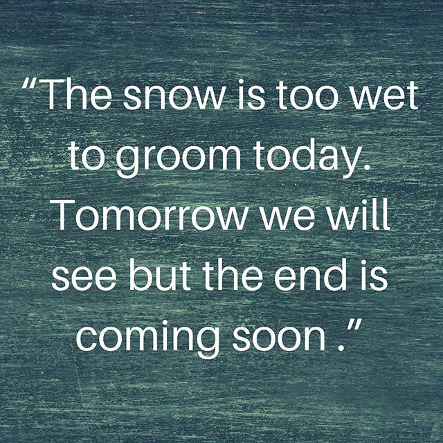 WaldenXC's tweet photo. March 26th. Grooming update. #waldencrosscountry https://t.co/WuSFqAZPDh https://t.co/PN91HUYhGq