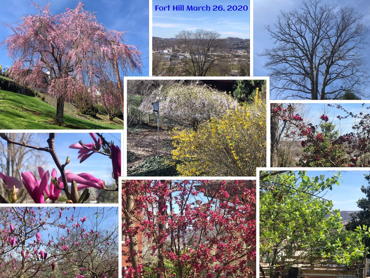 James W Strawn tweet media