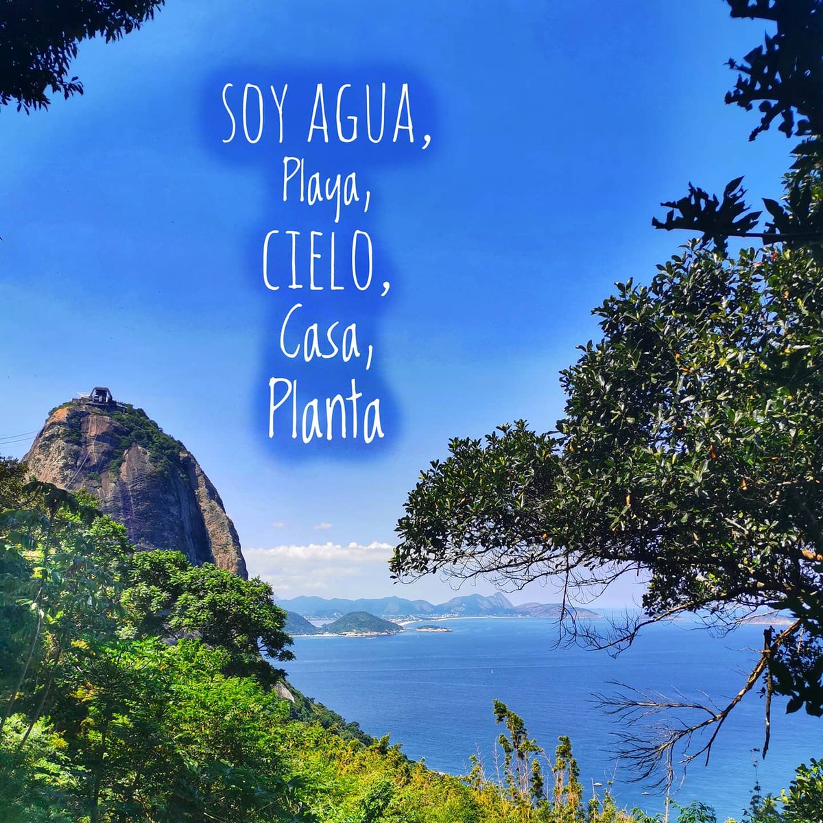 Alejandro Kiroz tweet media