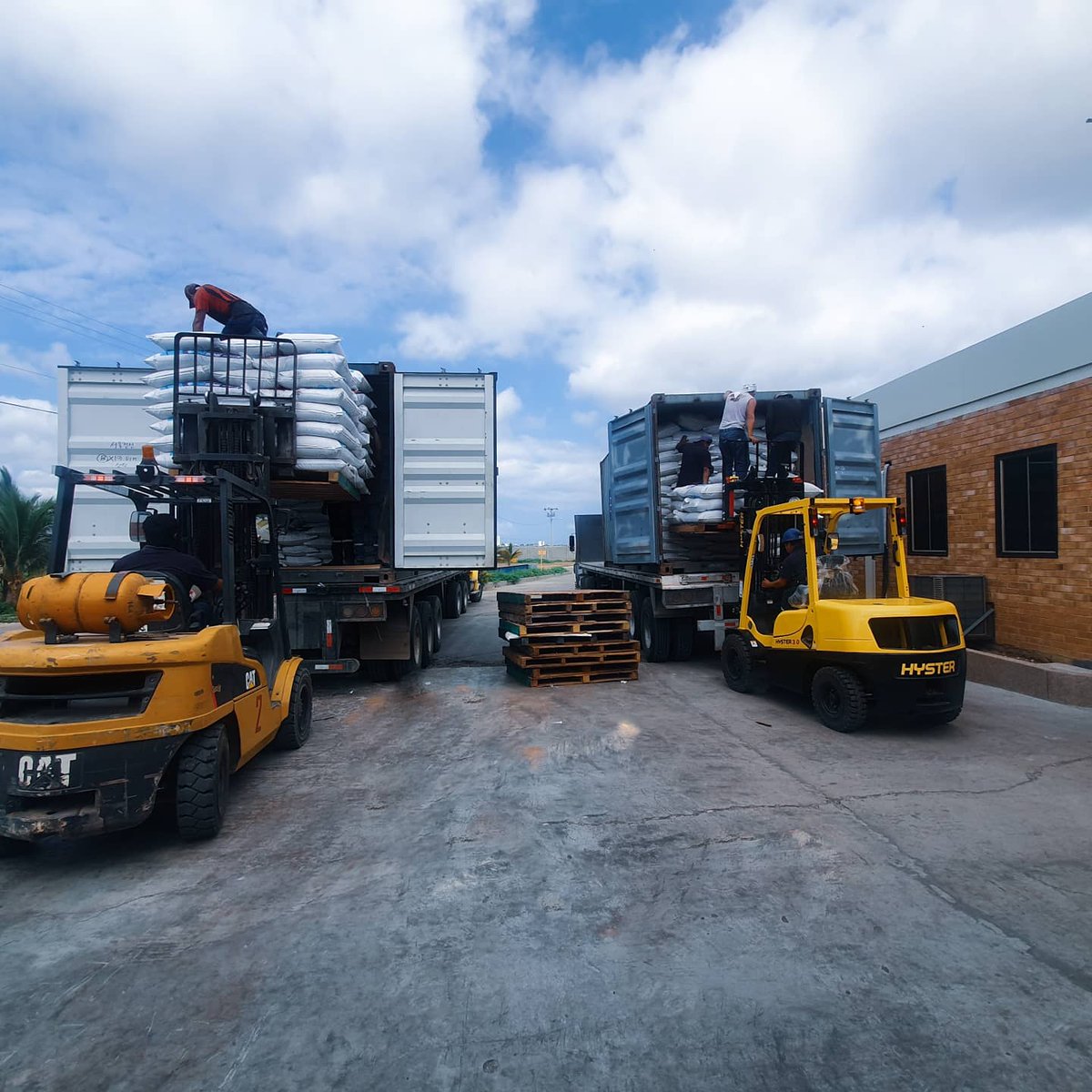 feedprohg's tweet photo. Somos parte importante de la cadena de alimentacion, materia prima para la industria de alimentos para animales.  #exportamosalmundo #alimentacion #feedpro #dimolfin #pescatecna https://t.co/H9WSIzUg80