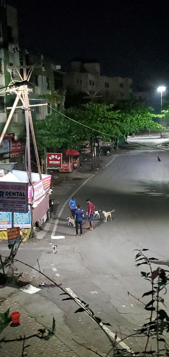 erprpatil's tweet photo. Great work @ani7709 during the #Lockdown21.
Please try to feed your neighborhood street dogs during this period. https://t.co/LOVMEbYwEu