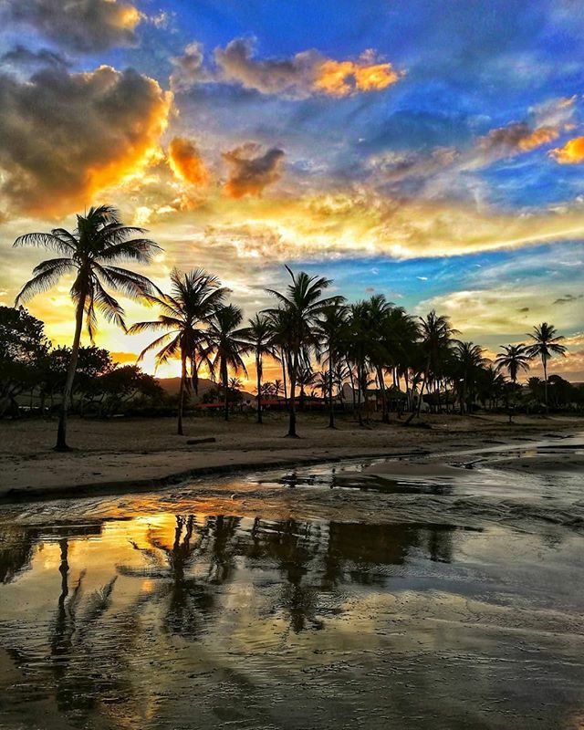 Corpotur Margarita tweet media