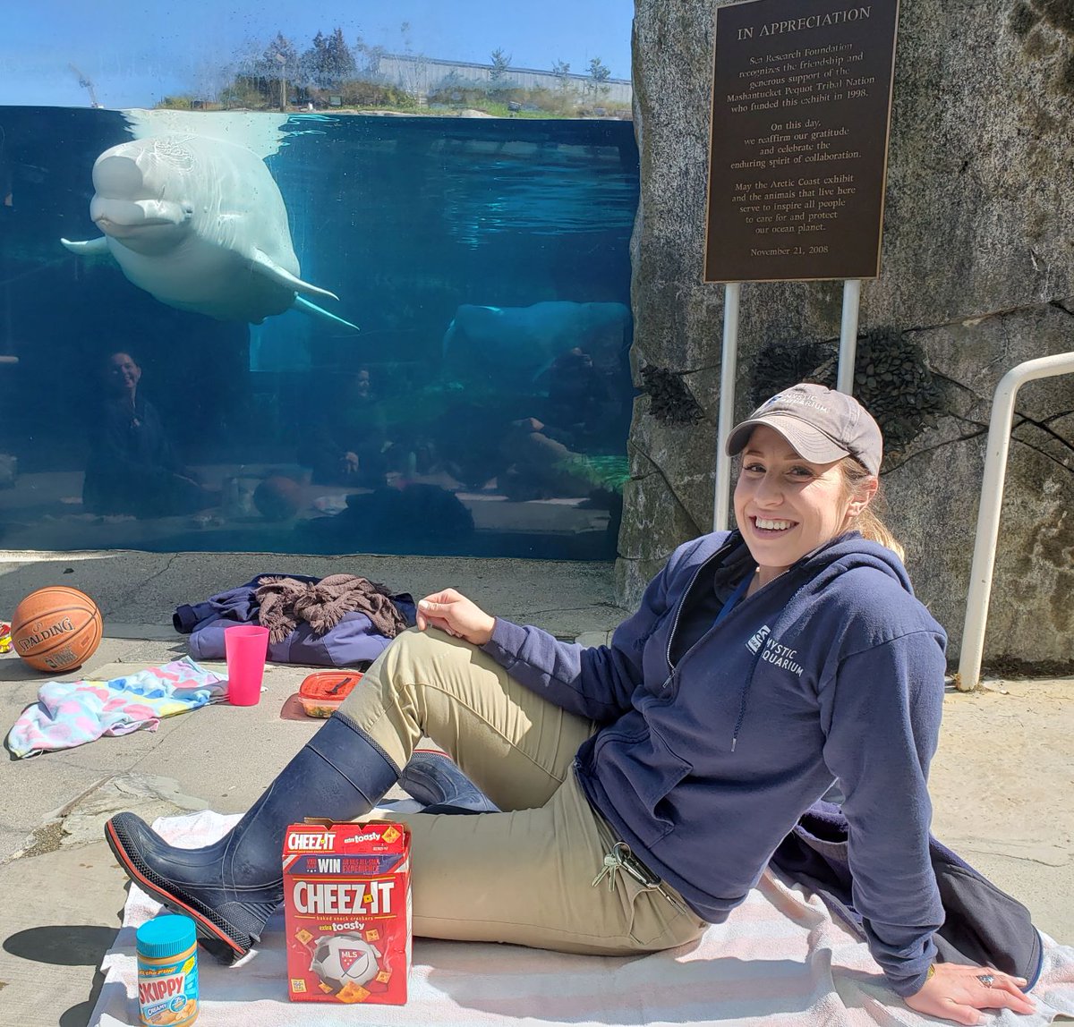 mysticaquarium's tweet photo. Not wanting Juno to miss out on important #AnimalEnrichment during the COVID-19 closure, @mysticaquarium animal care specialist, Kimmy, enjoyed her lunch-complete with @cheezit -at underwater viewing. Not sure #WhoEnjoyeditMore #GoodforMorale #BrownBagwithBelugas https://t.co/JOb9JKtnxx