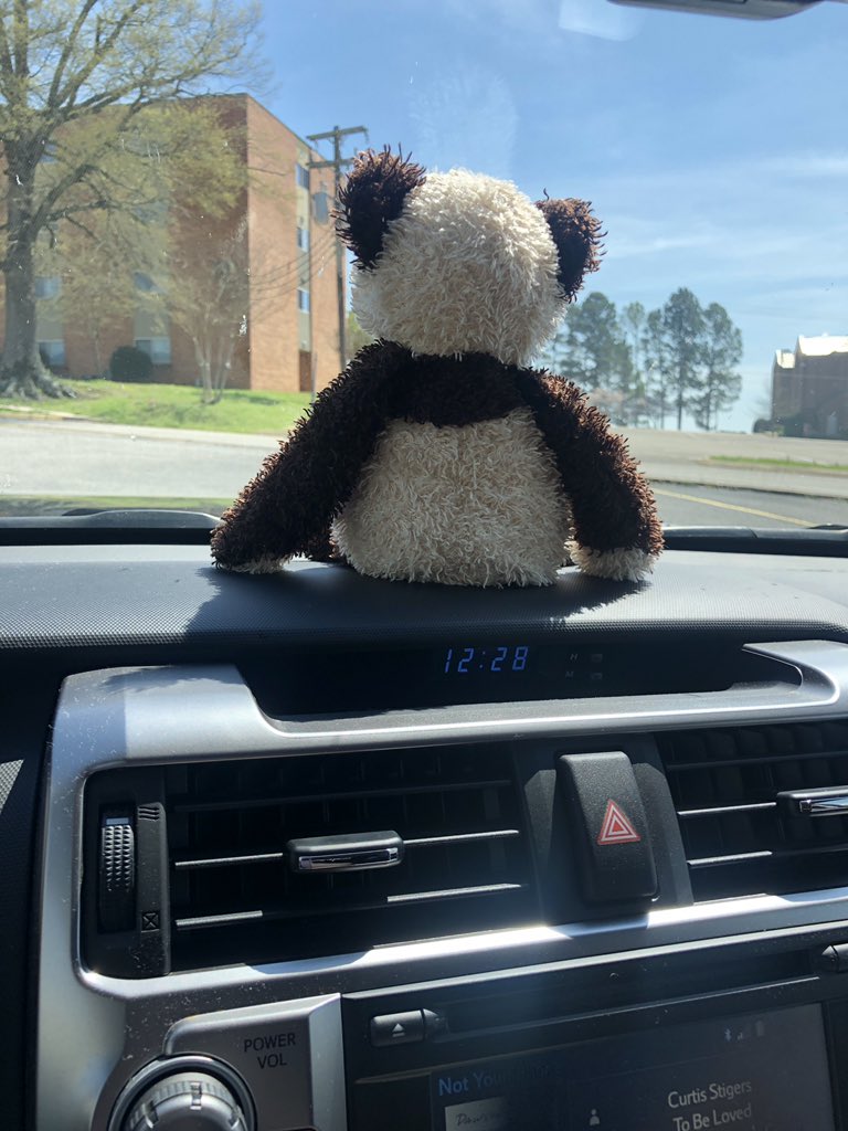 kristysherrod's tweet image. Since we live pretty far out and off the road, while I am using my car today to run some needed errands for my dad (safely social distancing, of course!), make sure you look for my Panda friend if you see me! #ccbearhunt
Note: nope he doesn’t block my vision! #SocialDistancingFun