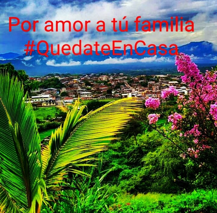 Autoridades locales, tiendas con productos de primera necesidad y mercado con precios fuera de lo normal.
.<a href="/GADMACARA/">GAD MACARA</a> .<a href="/CNPMacara/">Comisaría Nacional de Macará</a> .<a href="/JPMacara/">Jefatura Política de Macará</a> .@eduviloli .<a href="/stereomacara/">RADIO STEREO MACARA</a> <a href="/monicamora65/">Monica Mora</a> .<a href="/CeciliaErique/">Cecilia Erique</a> .@