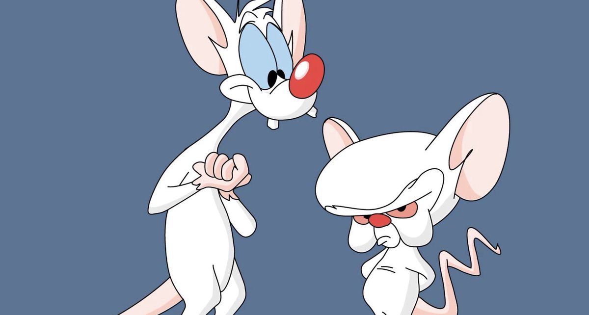 Pinky and brain. Вот Пинки вот и Брейн. Вот Пинки вот Пинки вот и Брейн Брейн Брейн. Пинки и Брайан.