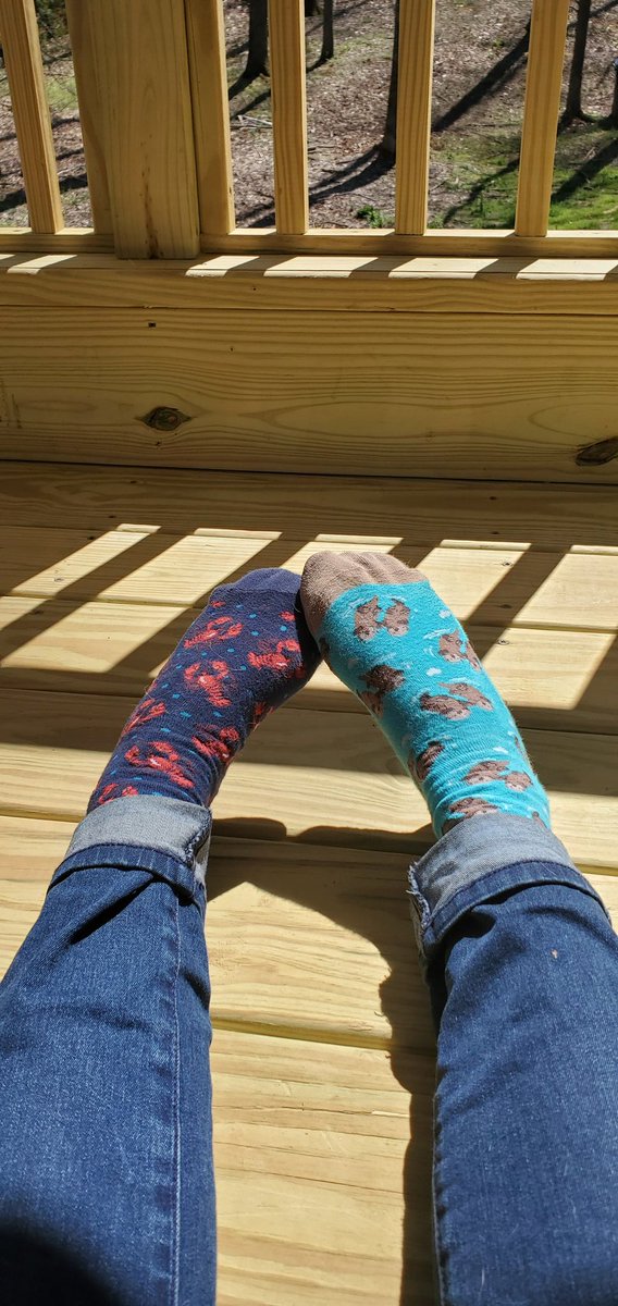 Enjoying this beautiful weather with crazy sock day outside on the deck!! <a href="/CreekViewElem/">Creek View Elementary School</a>