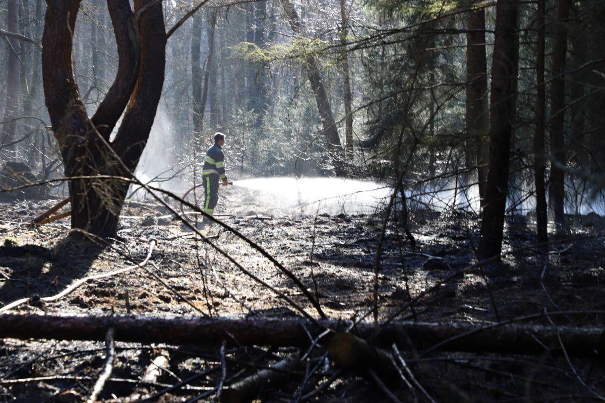 Bosbrand nabij de Beakendyk in Bakkeveen -.