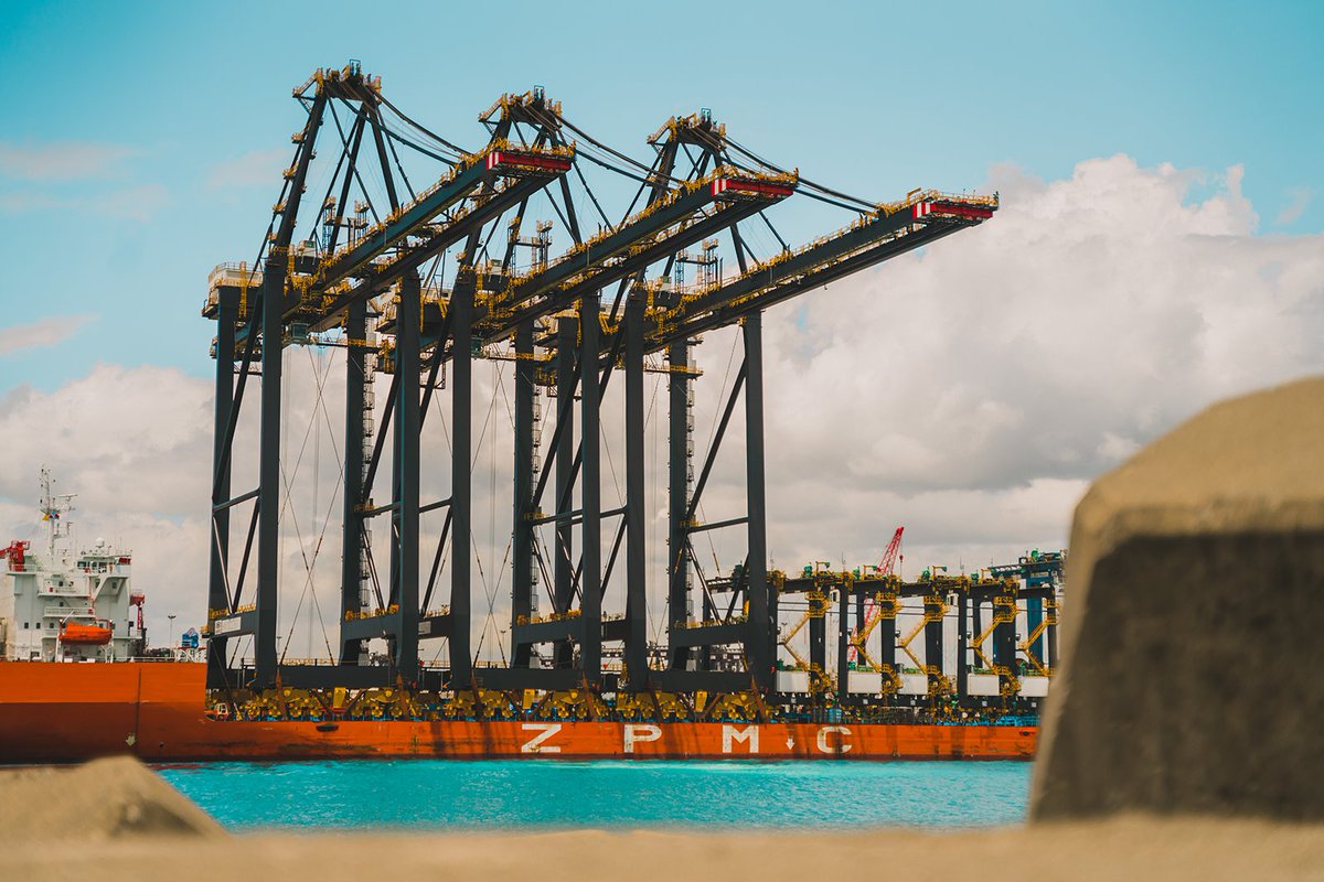 DP World Dominicana tweet media