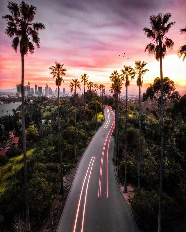 🌴 Photo By Featured Artist: @nomadiccaptures 🌴
Selected By: @maydas.touch
.
.
.
To Be Featured Make Sure You Tag
@hug_a_palmtree or Use #HUGAPALMTREE
.
.
#losangeles #photography #sunset #photooftheday #sunsetlovers #palmtrees #inspiration #landscape… ift.tt/39gFtPm