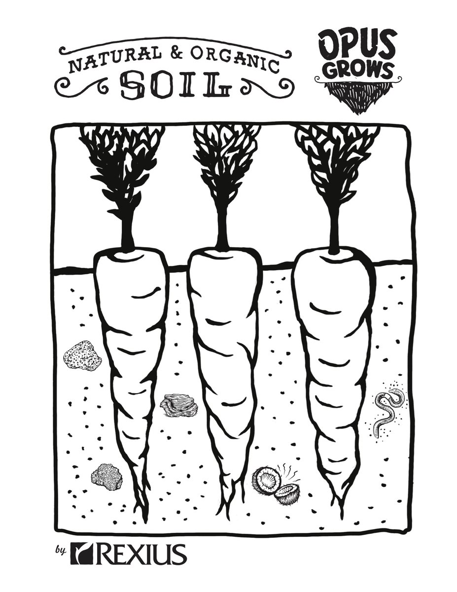 RexiusLandscape's tweet image. Coloring sheets and kiddos, name a more perfect pair! Spring is the perfect time of year to learn about soil and what makes our plants grow. We have three unique coloring sheets to plant the seed in your little ones while they stay safe at home!