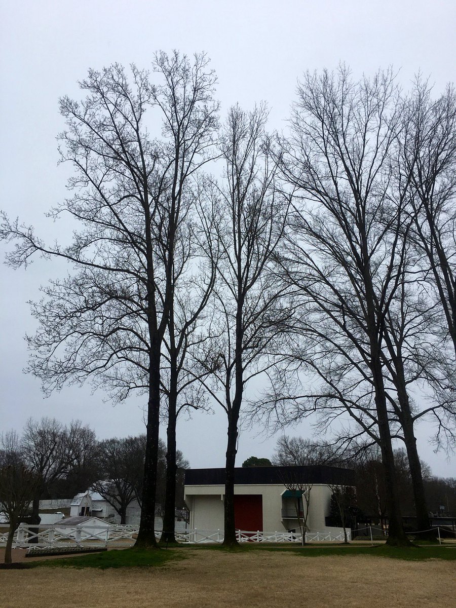 Now that’s a  #backyard.  Here at Elvis Presley’s Graceland in Memphis, Tennessee (Feb. 23). DYK: Dr. & Mrs. Thomas Moore built & named the house after Mrs. Moore's Aunt Grace Toof, the original landowner.  #Elvis bought it March 25, 1957.Read more  https://www.graceland.com/elvis-at-graceland