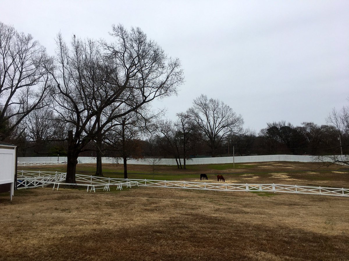 Now that’s a  #backyard.  Here at Elvis Presley’s Graceland in Memphis, Tennessee (Feb. 23). DYK: Dr. & Mrs. Thomas Moore built & named the house after Mrs. Moore's Aunt Grace Toof, the original landowner.  #Elvis bought it March 25, 1957.Read more  https://www.graceland.com/elvis-at-graceland