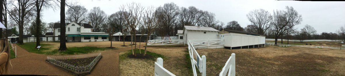 Now that’s a  #backyard.  Here at Elvis Presley’s Graceland in Memphis, Tennessee (Feb. 23). DYK: Dr. & Mrs. Thomas Moore built & named the house after Mrs. Moore's Aunt Grace Toof, the original landowner.  #Elvis bought it March 25, 1957.Read more  https://www.graceland.com/elvis-at-graceland