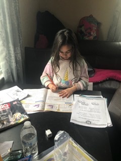 Plainville Schools tweet media