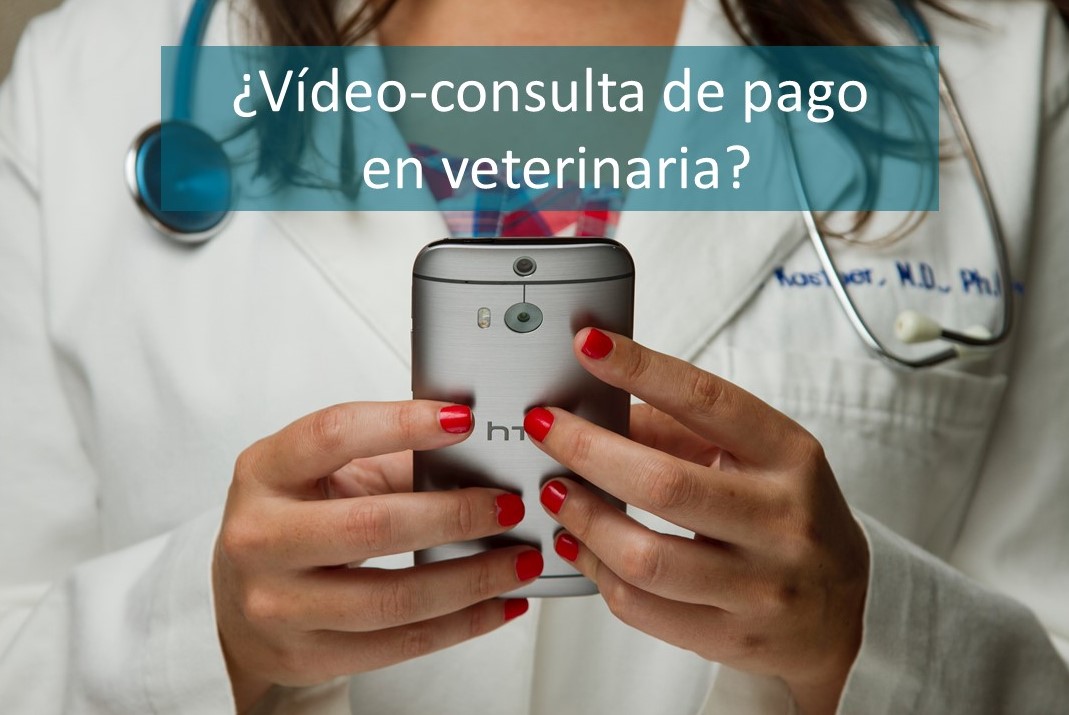 EnricVet's tweet photo. VIDEO CONSULTA VETERINARIA, una nueva forma de comunicarnos con los clientes. 
¿Recibes fotografías del post quirúrgico de un paciente por WhatsApp? ¿También vídeos? En realidad ya estás haciendo tele-consulta. Más detalles:  
https://t.co/iL6tjaakG4 https://t.co/Ki6SP72tVt