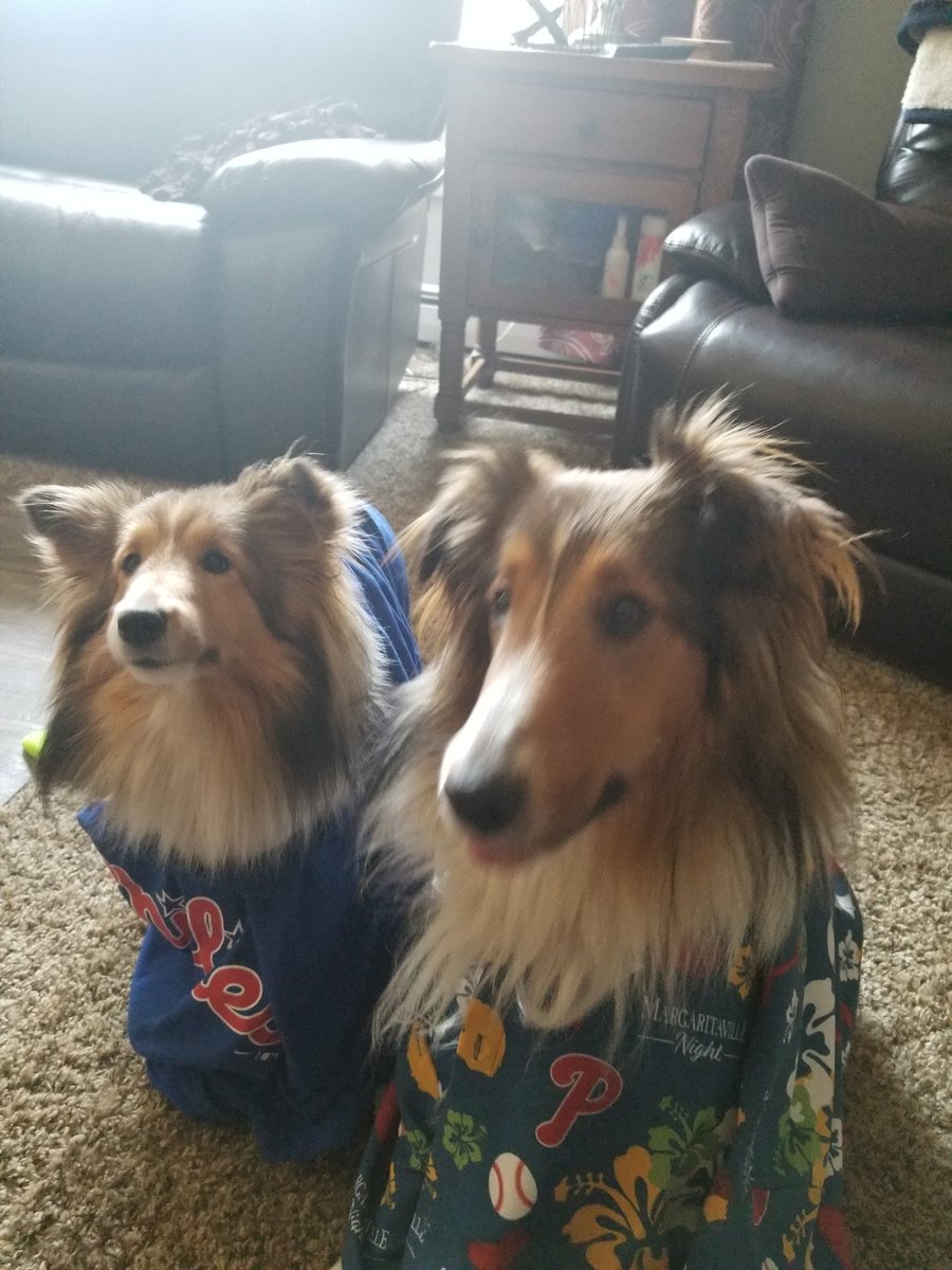StephGale18902's tweet photo. @CBWestHS #Eagles #Phillies Showing our Eagles and Phillies off, Lovey and Finlay are ready for some baseball, but are also helping Mom out with her CB West work online.  CB proud, pups!! https://t.co/hRrMsSfwvP