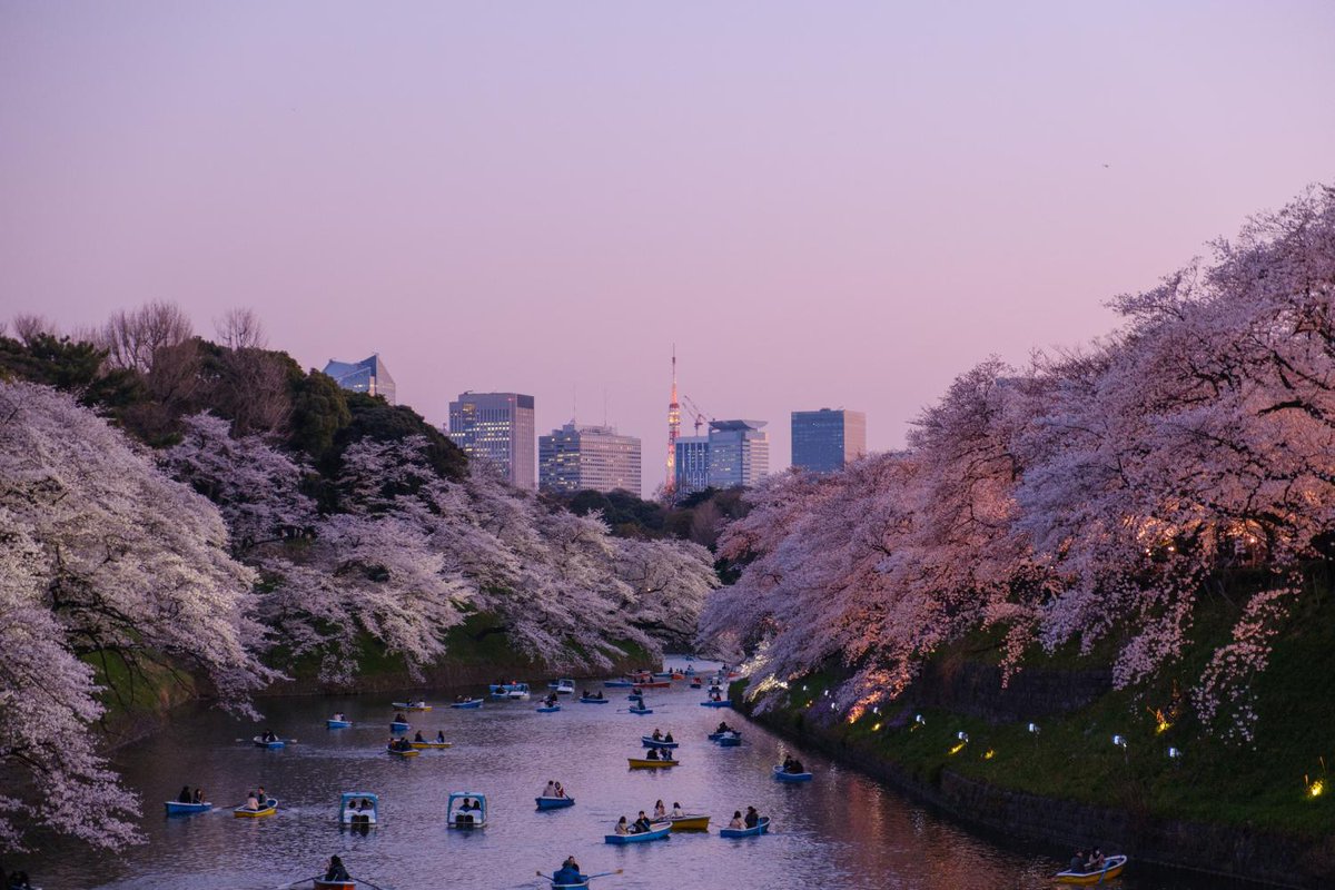 🇪🇸🎞️PELICULAS PARA VIAJAR A TOKIO🎞️

Agustina, Local Hero en Tokyo, sugiere estas películas para viajar a Tokio: 'Adrift in Tokyo' y 'Tokyo Sonata' son menos conocidas, la increíble y rara 'Tokyo!', 'Lost in Translation' y, claro, 'A todo gas: Tokyo Race'."