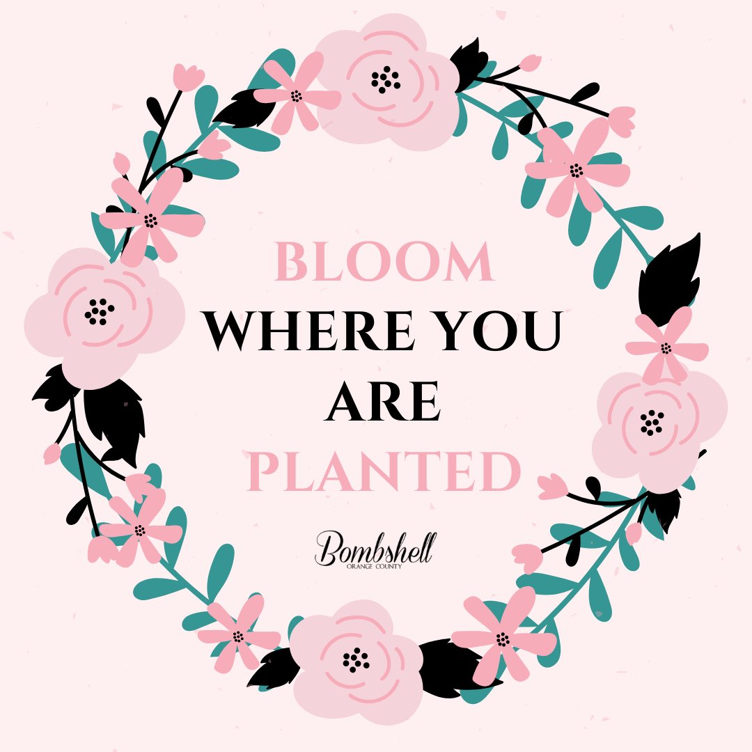 Bombshell_OC's tweet photo. Some #ThursdayThoughts for our Bombshells 🌻

#BloomWhereYourePlanted #MotivationalThoughts #PrettyQuotes https://t.co/E0DBeudusJ