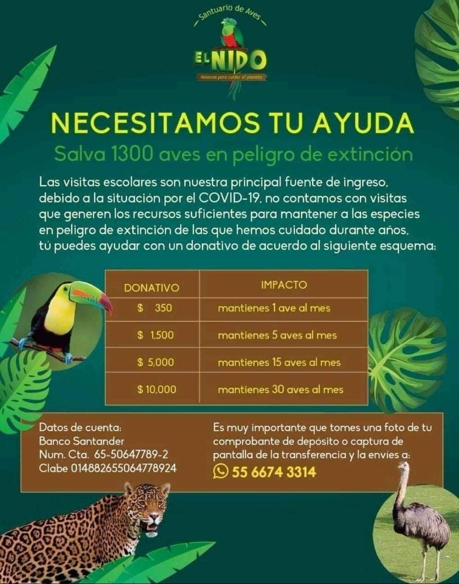 Aida tweet media