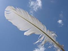 RobinHeartStory's tweet photo. Healing Feathers PART 4 - a story to help us all through hard times...https://t.co/jRlcbGGkqz #peace #story #hardtimes #healing #prayerchangesthings https://t.co/gXh1dr5emK