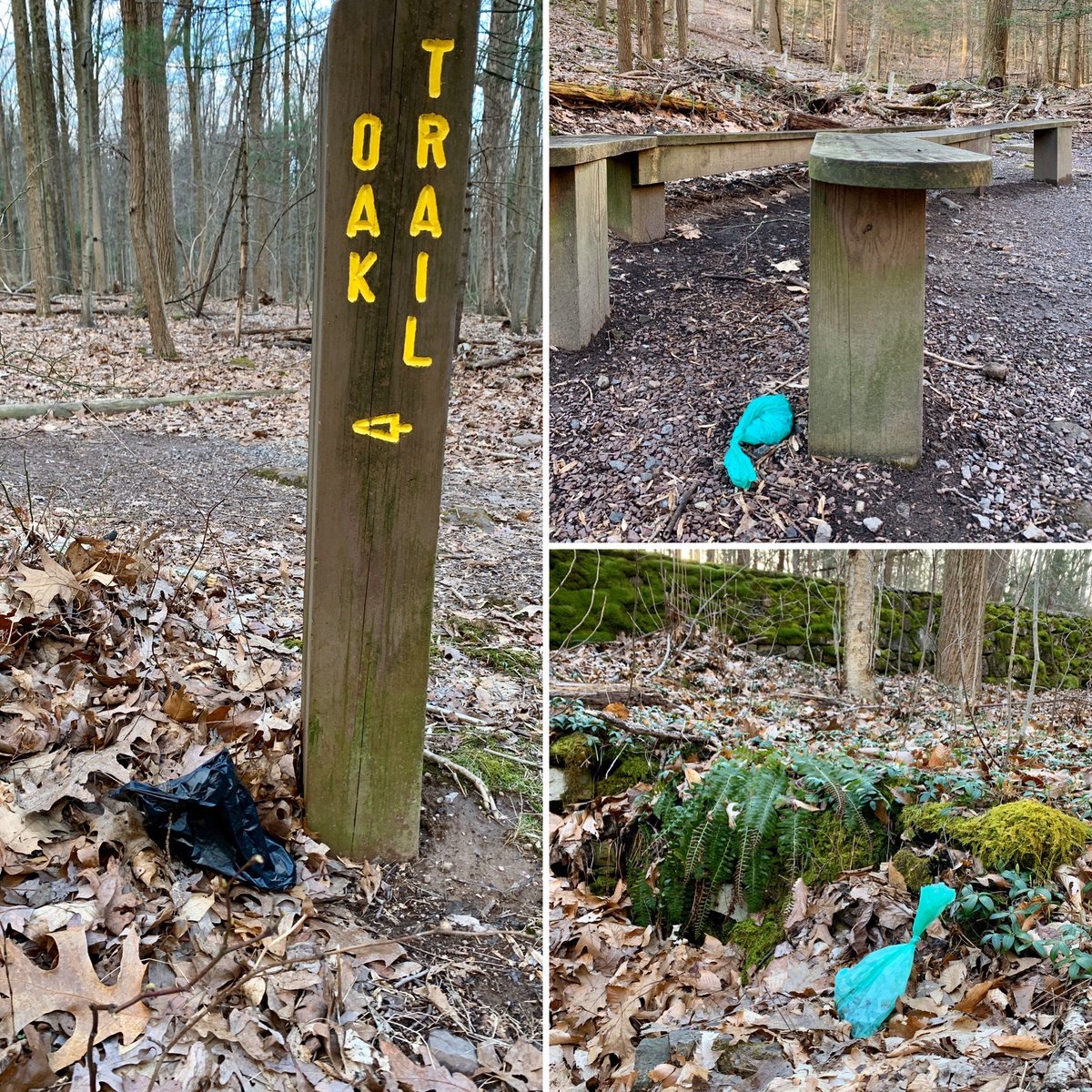 DCNRnews's tweet photo. With increase of visitors to #PAStateParks last weekend, we saw an increase of trash, dog waste &amp; graffiti for limited staff to deal with. Be respectful of our natural resources. Whatever food, drinks or dog waste bags you take in, please take out. #LeaveNoTrace📷#NoldeForestEEC https://t.co/foJqyBAFKd