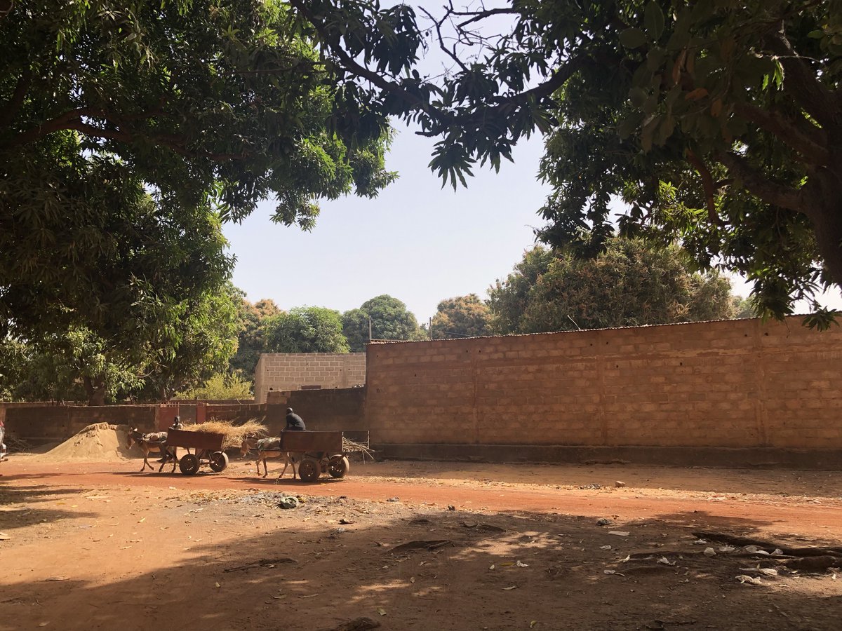 Our recent trip to #Mali had so many highlights and special moments. One of the team's favourites was visiting #Bougouni and taking in the beautiful #scenery and meeting some wonderful people.