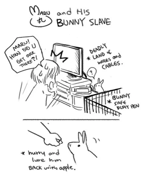 Early days, when the house wasn't 'bunny-proofed' yet.... 