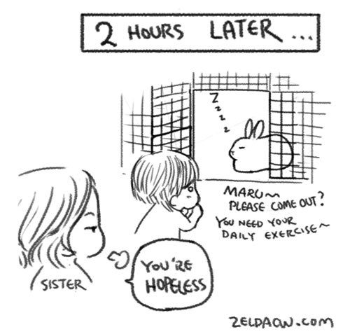 Early days, when the house wasn't 'bunny-proofed' yet.... 