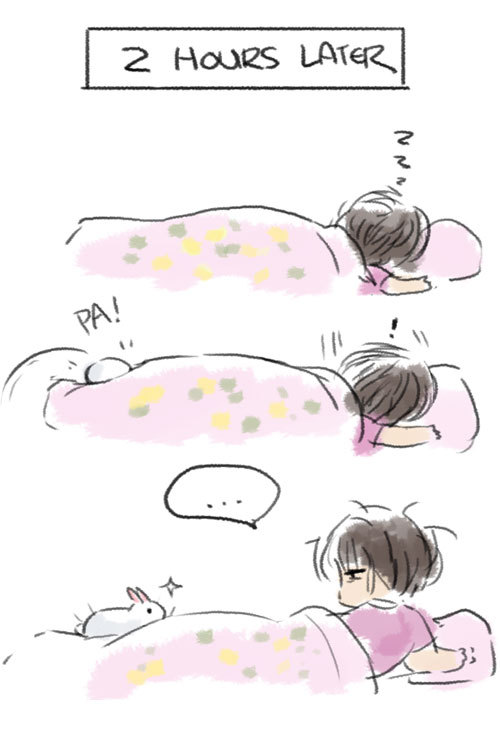 bunny alarm clock 