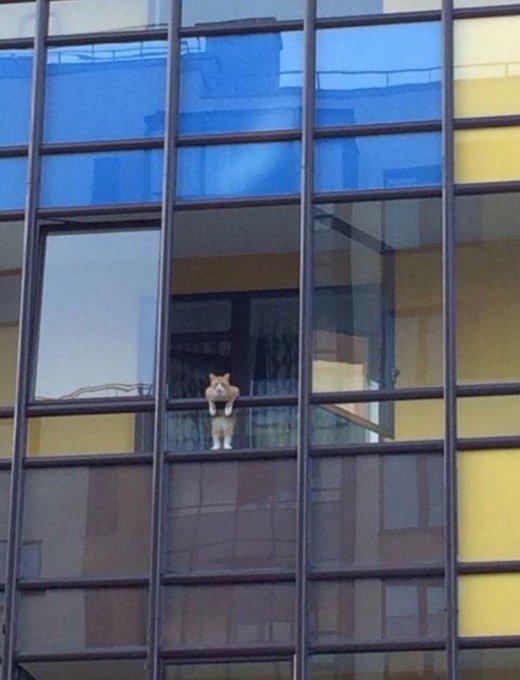 Jason Burne tweet media