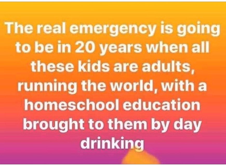 VirtualWineClub's tweet photo. It’s funny cause it’s true... #VirtualWineClub #SociallyDistantWineClub #HomeSchooling https://t.co/sWiBPFidV6