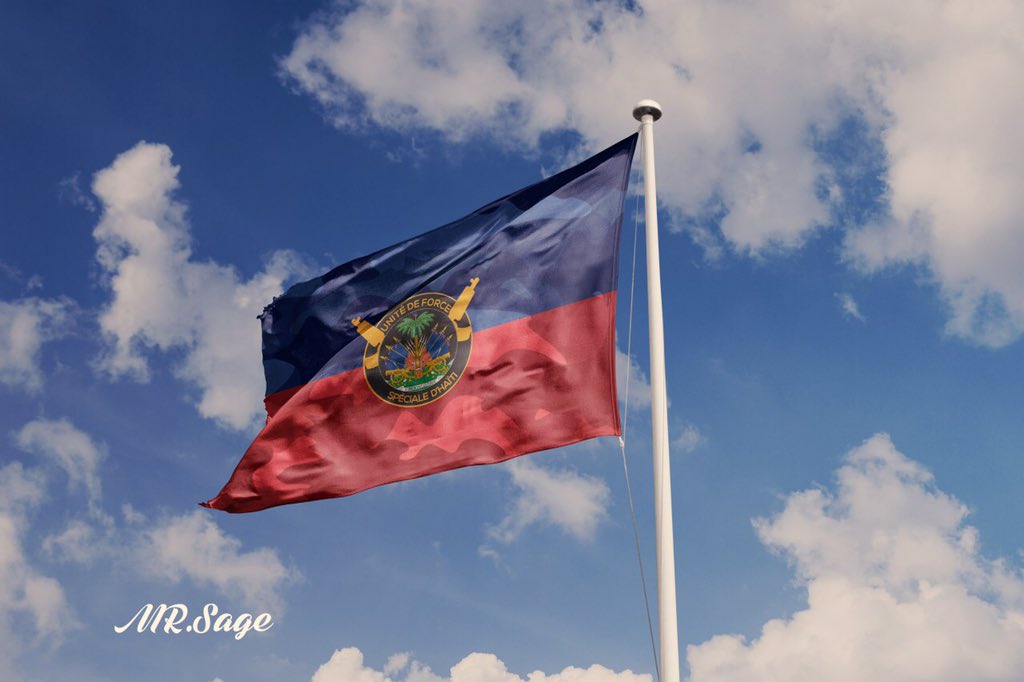 SajousGelumer's tweet photo. #BanmNotew challenge
Unité de Force Spéciale D’Haïti logo.
#Konfinman #Graphic #photoshop #KGO #Covid19 https://t.co/PAK5buHjTZ