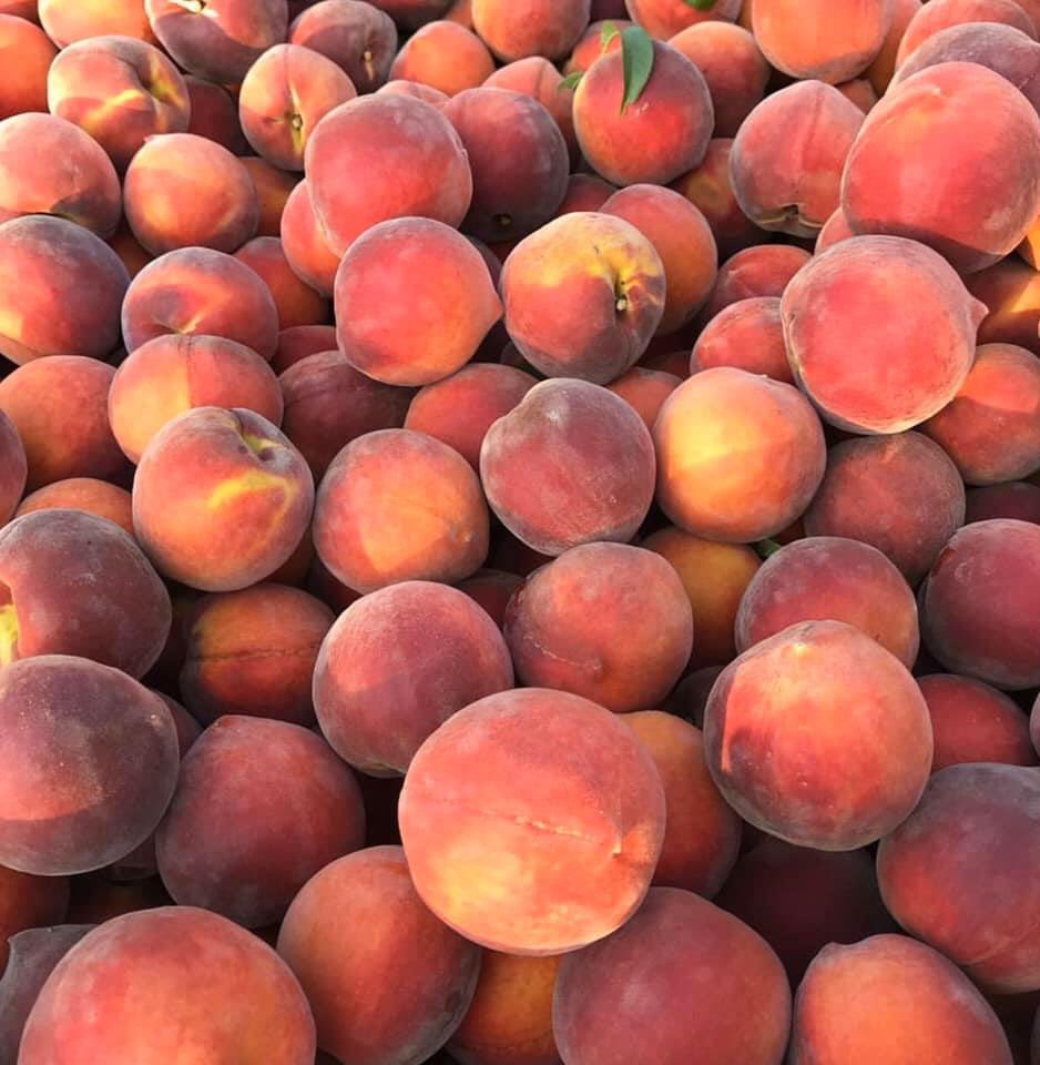 Our peach trees are in full bloom totally unaware of any virus and ready to bring you Sweet Georgia peaches ... in 50 days. Grown safely and with care. Ready to bring back some normalcy #GeorgiaPeaches #Farmers #Flavor #HealthyFood #ThankfulThursday #Recipe