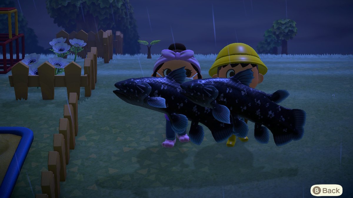 Whyymood's tweet photo. #AnimalCrossing #ACNH #NintendoSwitch https://t.co/I8TFa20LOx