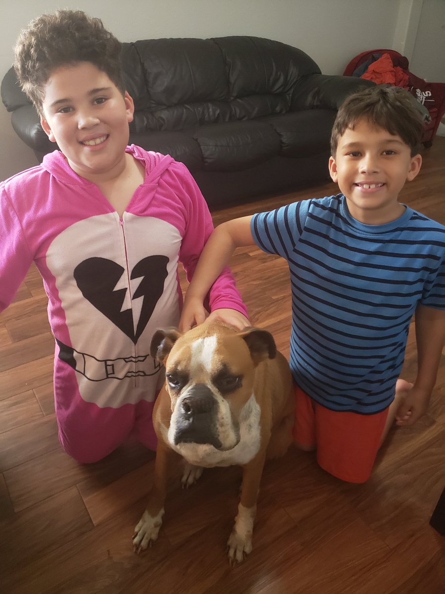 BeattyKara's tweet photo. They boys and Scooby. Scooby did not want to take a picture! #acecubs #distancelearning https://t.co/LWfggDHcCZ