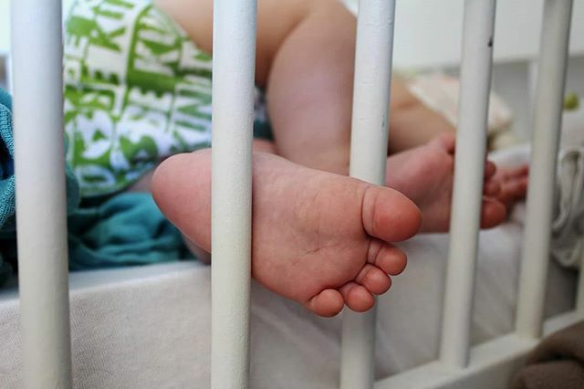 gDiapers tweet media