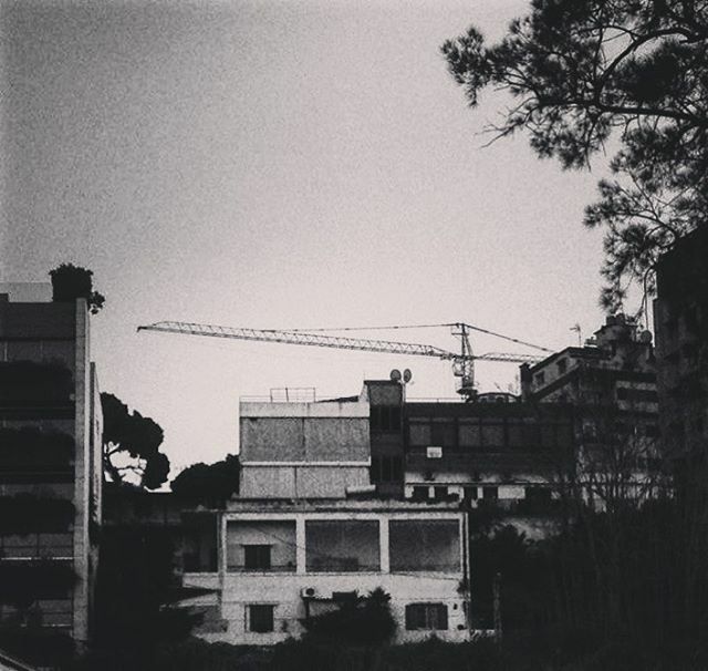 cranelife's tweet photo. #kaslikcrane #kaslik #lebanon #international #cranes #guestcranes #cranelovers #cranearchive #cranesallovertheworld #blackandwhite #cranelife https://t.co/16HAcw2LSL